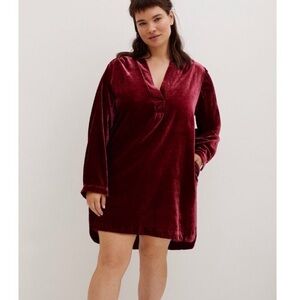 Anthropologie Melody Raspberry Red Velvet Tunic Dress